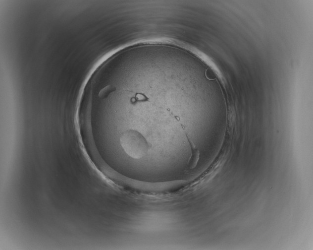 X0000111790959200907231140