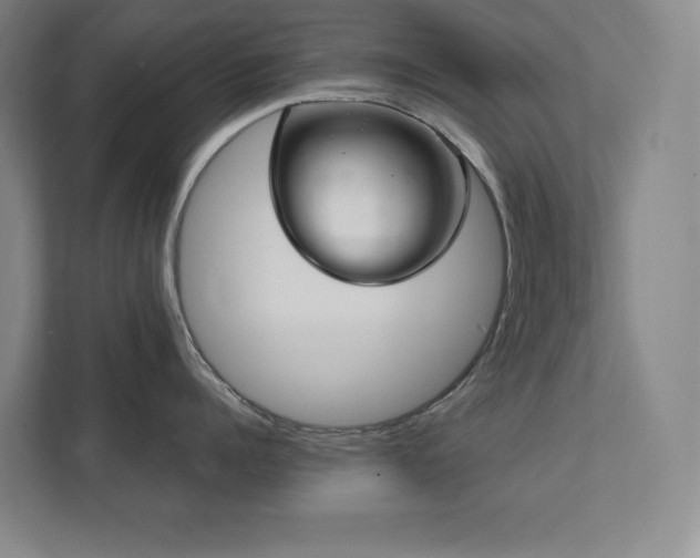 X0000111790960200907231140