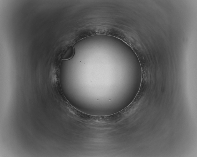 X0000111790962200907231140