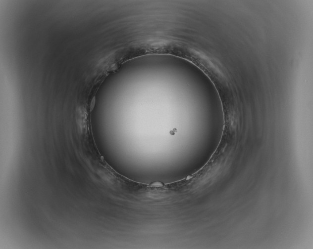 X0000111790964200907231139