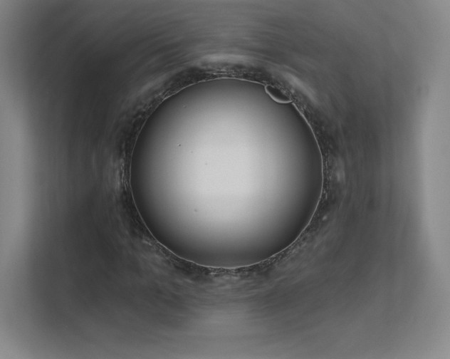 X0000111790965200907231139