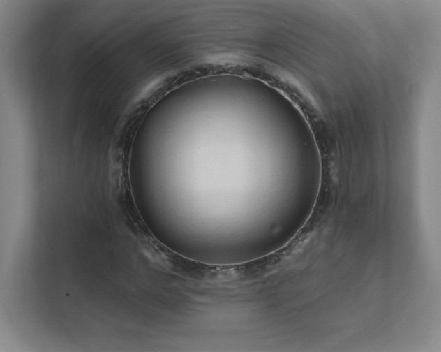 X0000111790968200907231139