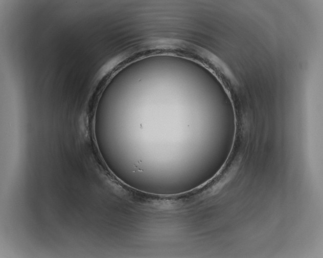 X0000111790970200907231139