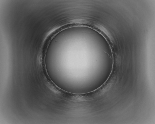 X0000111790971200907231139