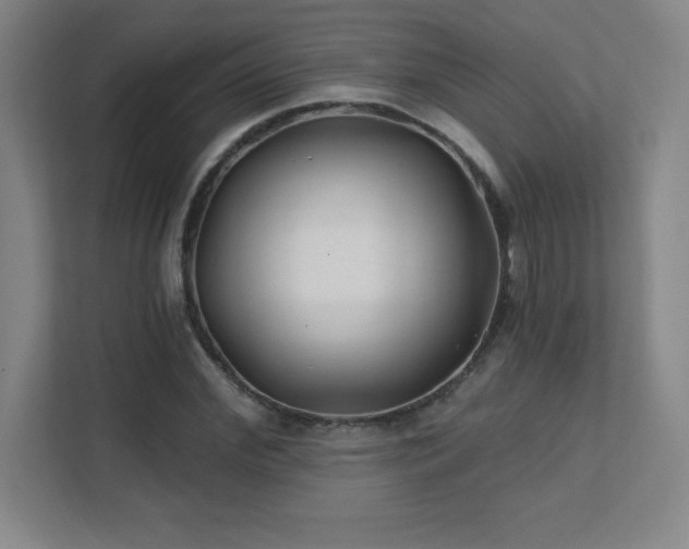 X0000111790972200907231139