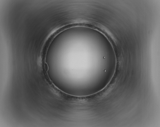 X0000111790975200907231139