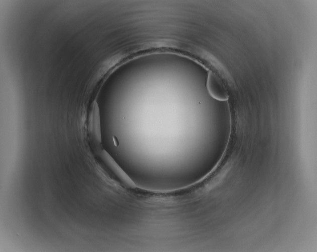 X0000111790977200907231139