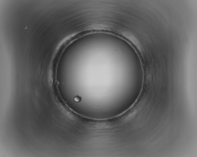 X0000111790979200907231139