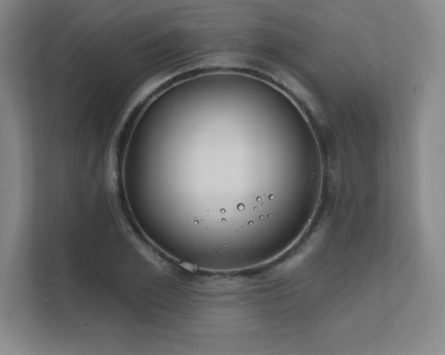 X0000111790981200907231139