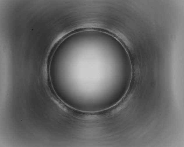 X0000111790982200907231139