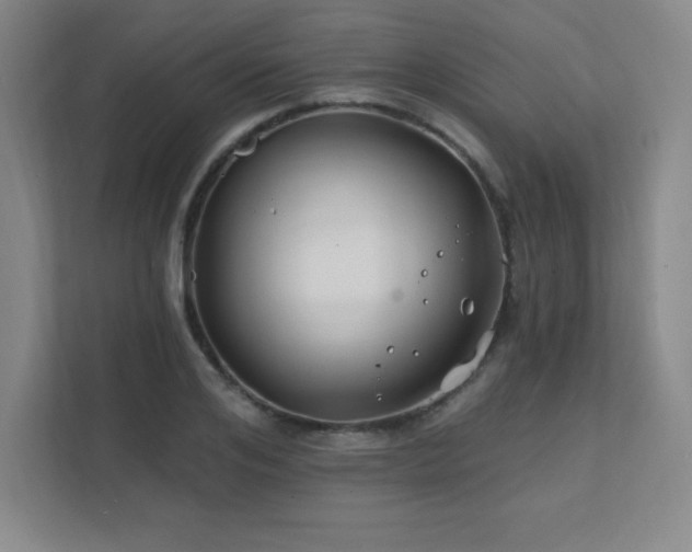 X0000111790984200907231139