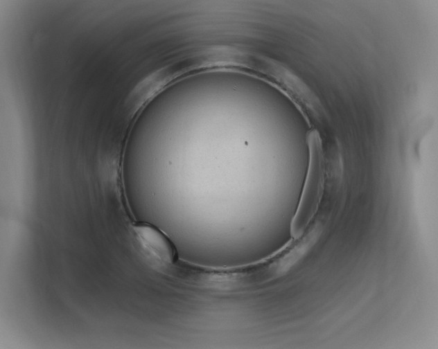 X0000111790985200907231139