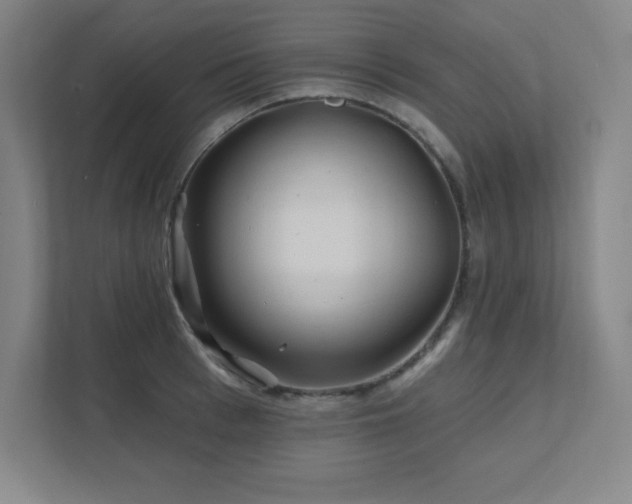 X0000111790993200907231139