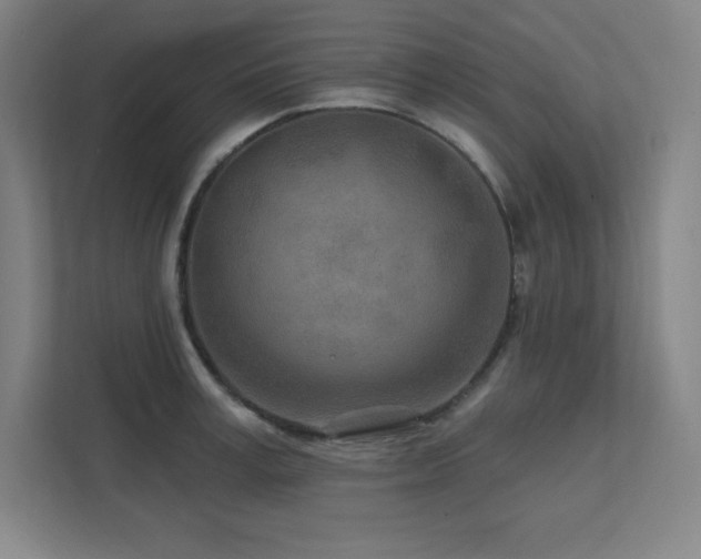 X0000111790995200907231139