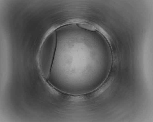 X0000111790997200907231139