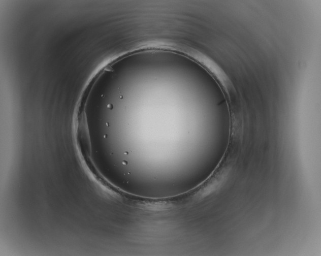 X0000111790999200907231139