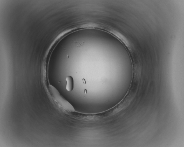 X0000111791000200907231139