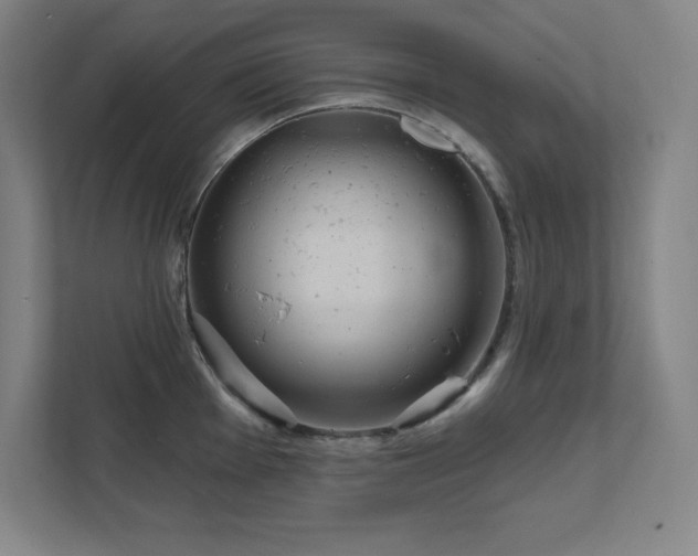 X0000111791001200907231139