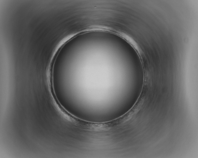 X0000111791003200907231139