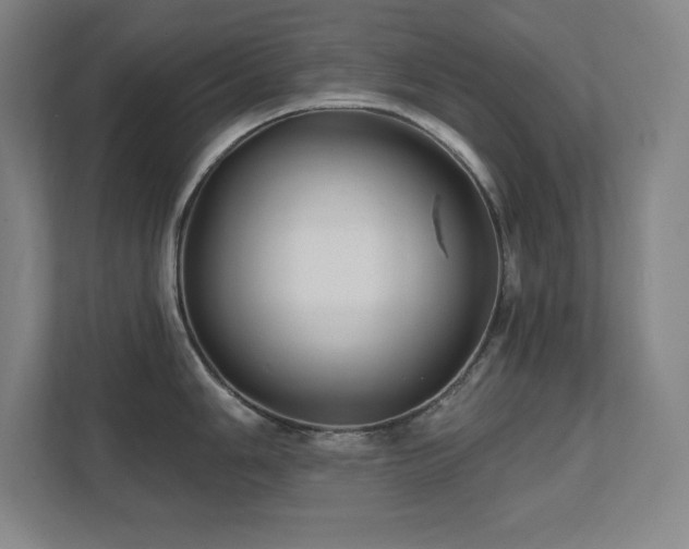 X0000111791006200907231139