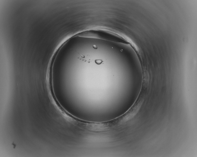 X0000111791007200907231139