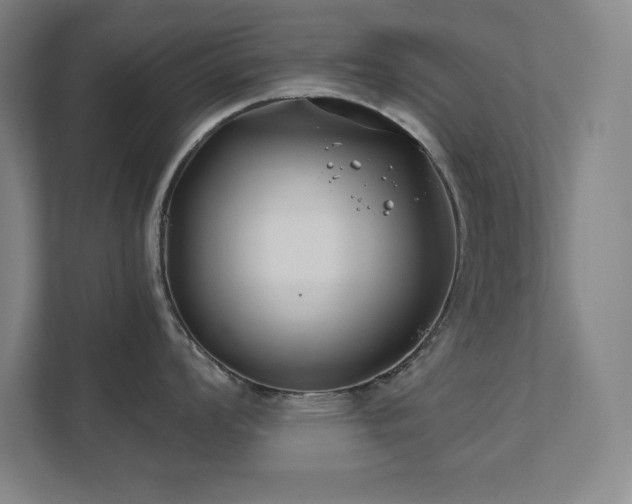 X0000111791008200907231139