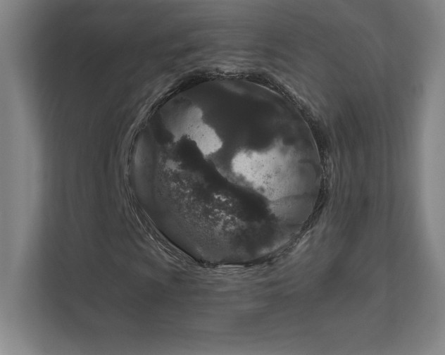 X0000111791009200907231138