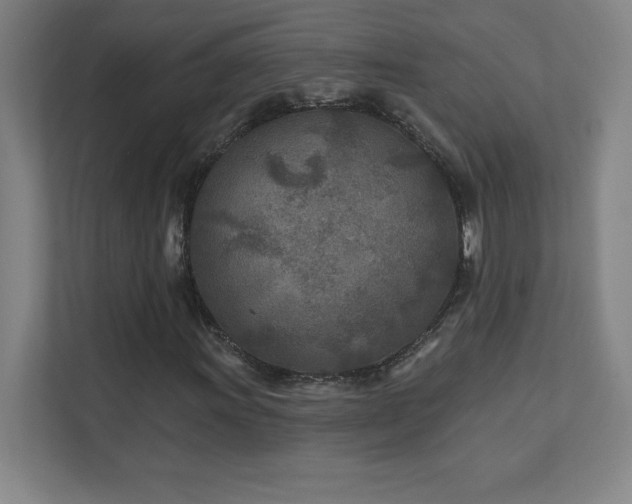 X0000111791011200907231138