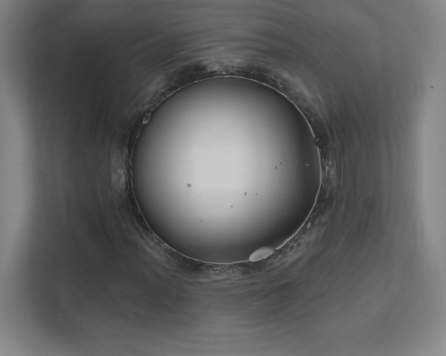 X0000111791012200907231138