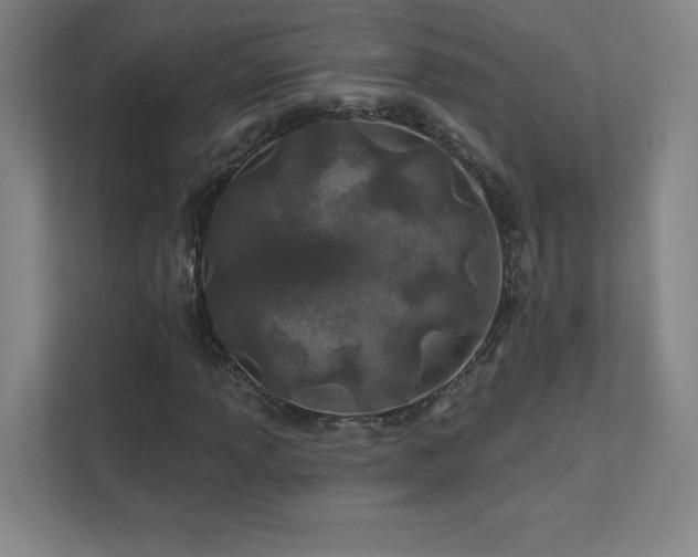 X0000111791013200907231138