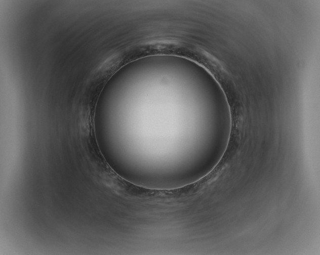 X0000111791014200907231138