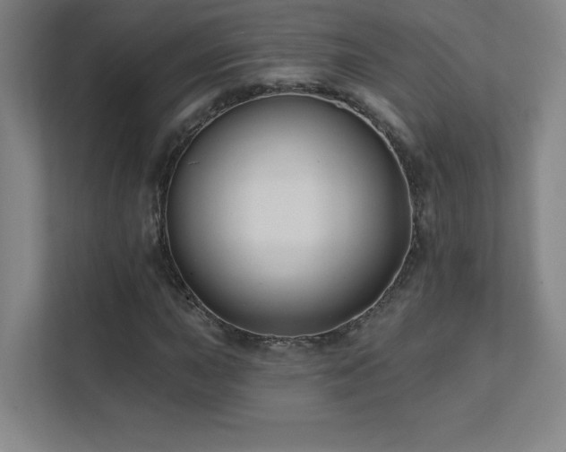 X0000111791015200907231138