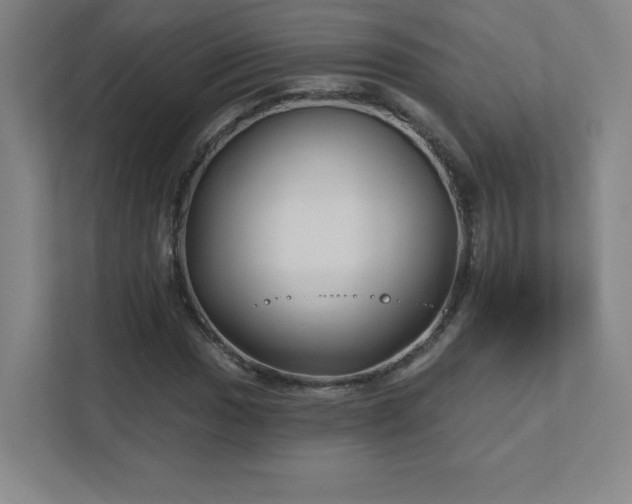 X0000111791017200907231138