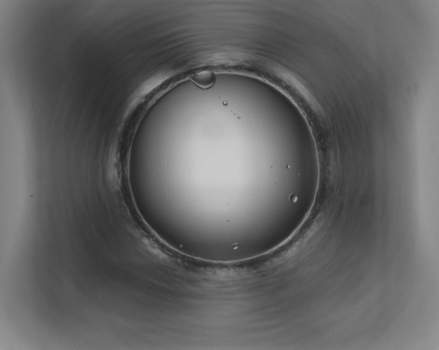 X0000111791018200907231138