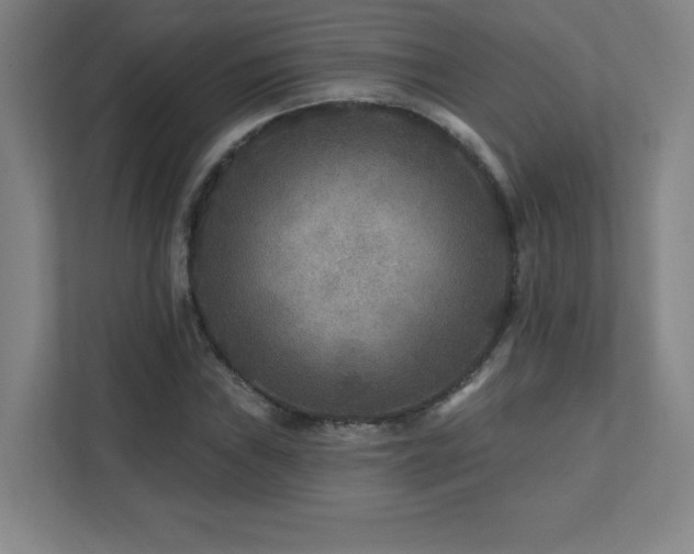 X0000111791019200907231138