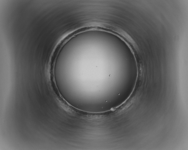 X0000111791020200907231138