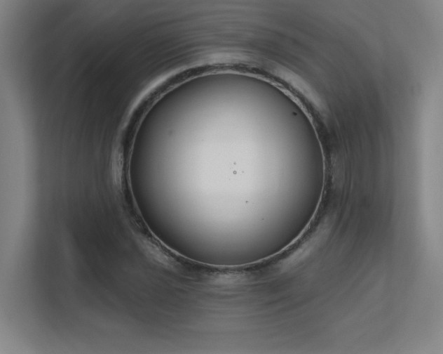 X0000111791021200907231138