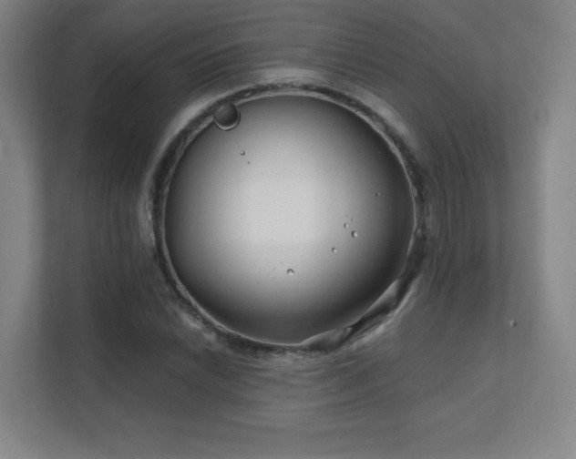 X0000111791022200907231138