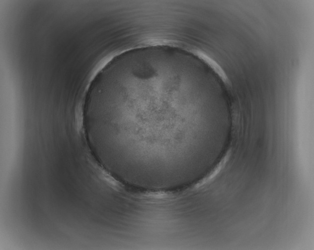 X0000111791023200907231138