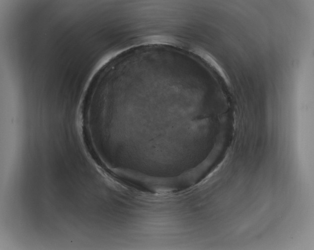 X0000111791024200907231138