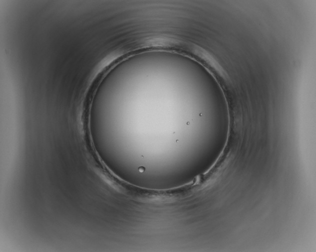 X0000111791026200907231139