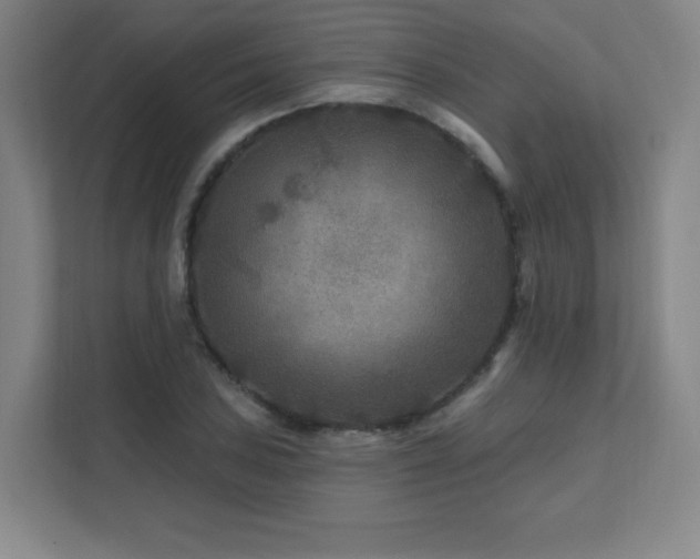 X0000111791027200907231139