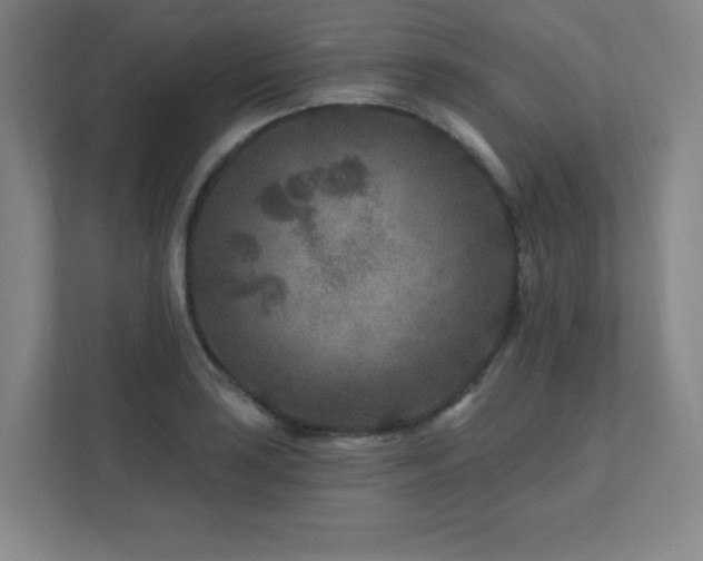 X0000111791035200907231139