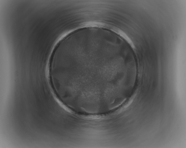 X0000111791037200907231139