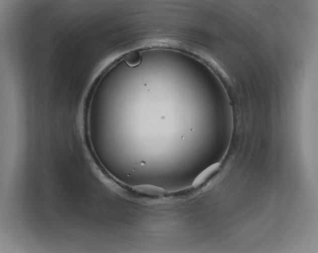 X0000111791038200907231139