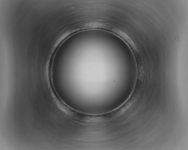 X0000111791039200907231139