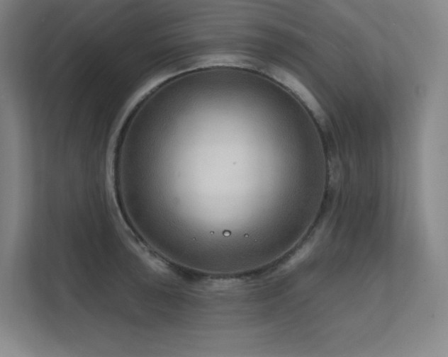 X0000111791043200907231139