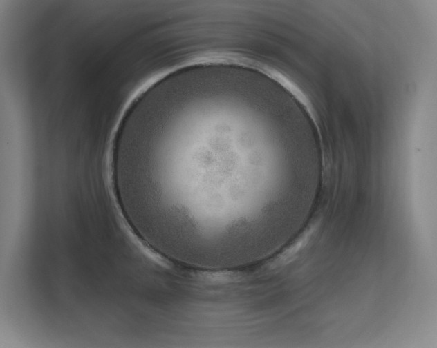 X0000111791045200907231139