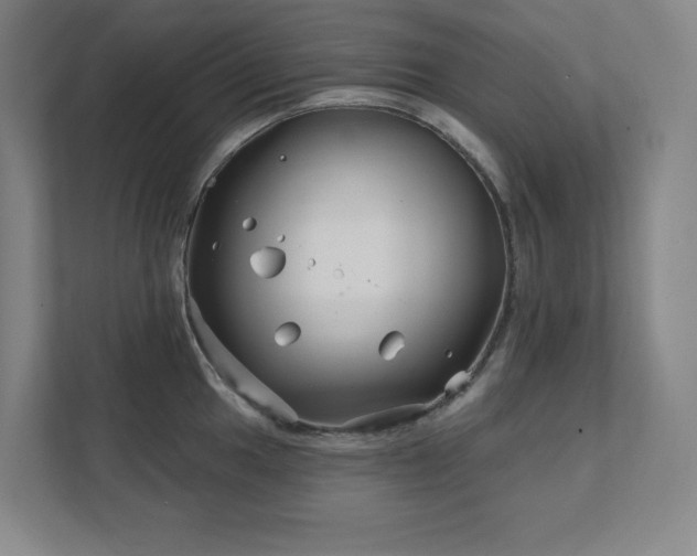 X0000111791049200907231139