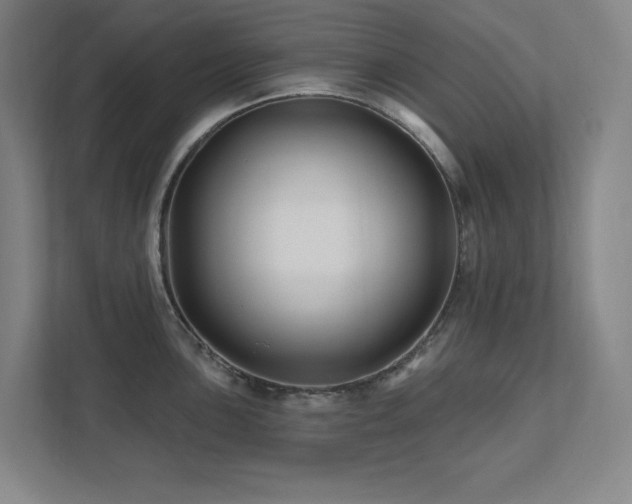 X0000111791051200907231139